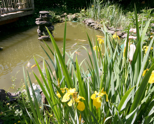 Ferienhaus-Gartenansicht in Wiehl-Bomig bei Gummersbach in NRW Ferienhaus-Gartenansicht in Wiehl-Bomig bei Gummersbach in NRW